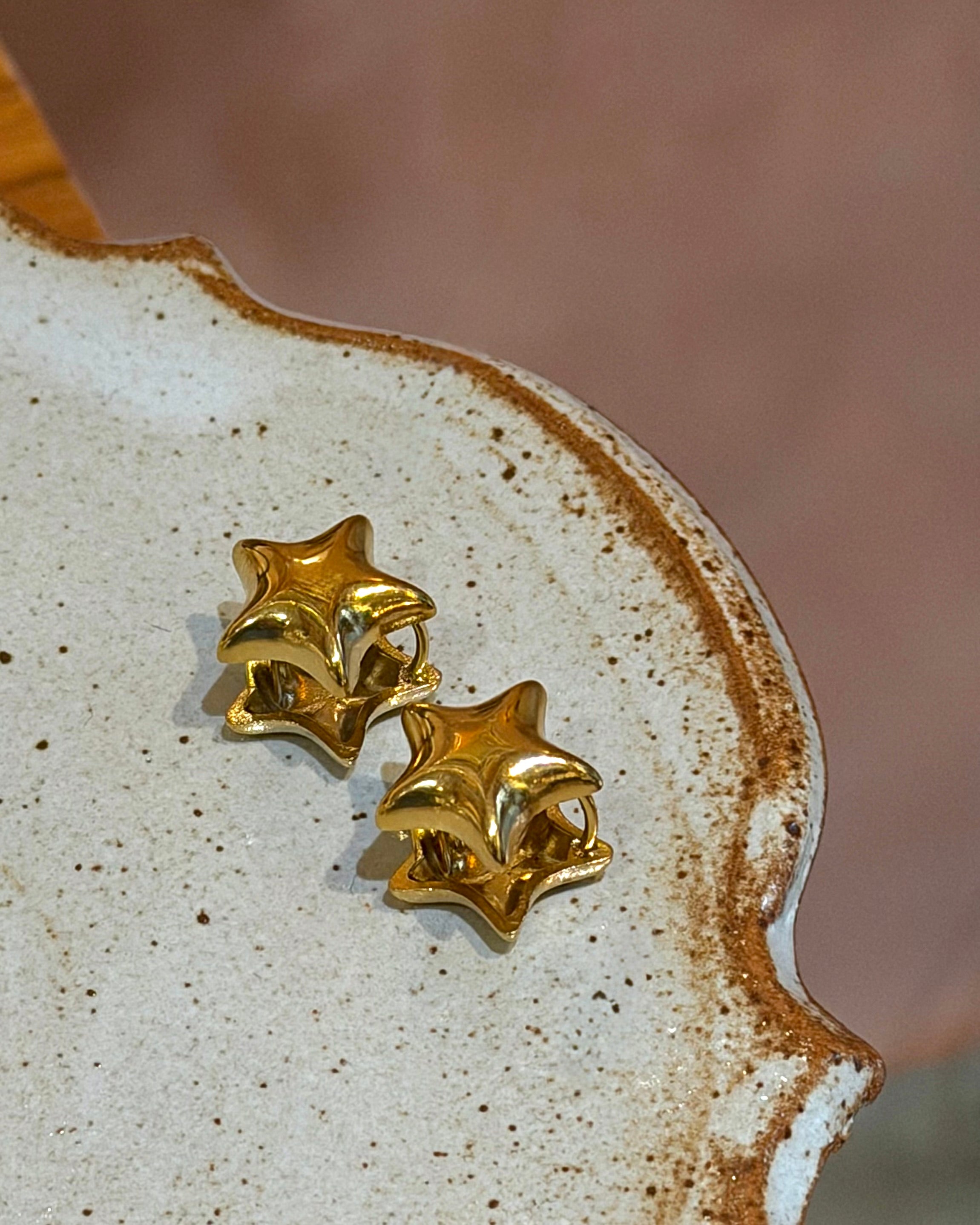 Echo star hoop stainless steel earrings