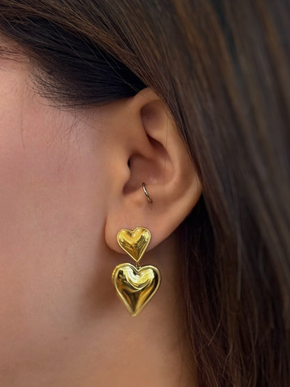 Double heart stainless steel earrings