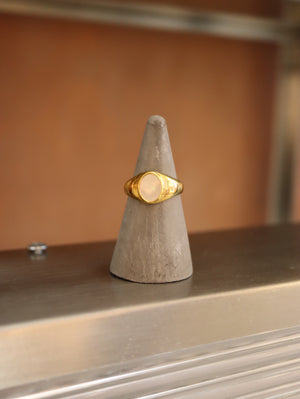 Oval shell stainless steel ring