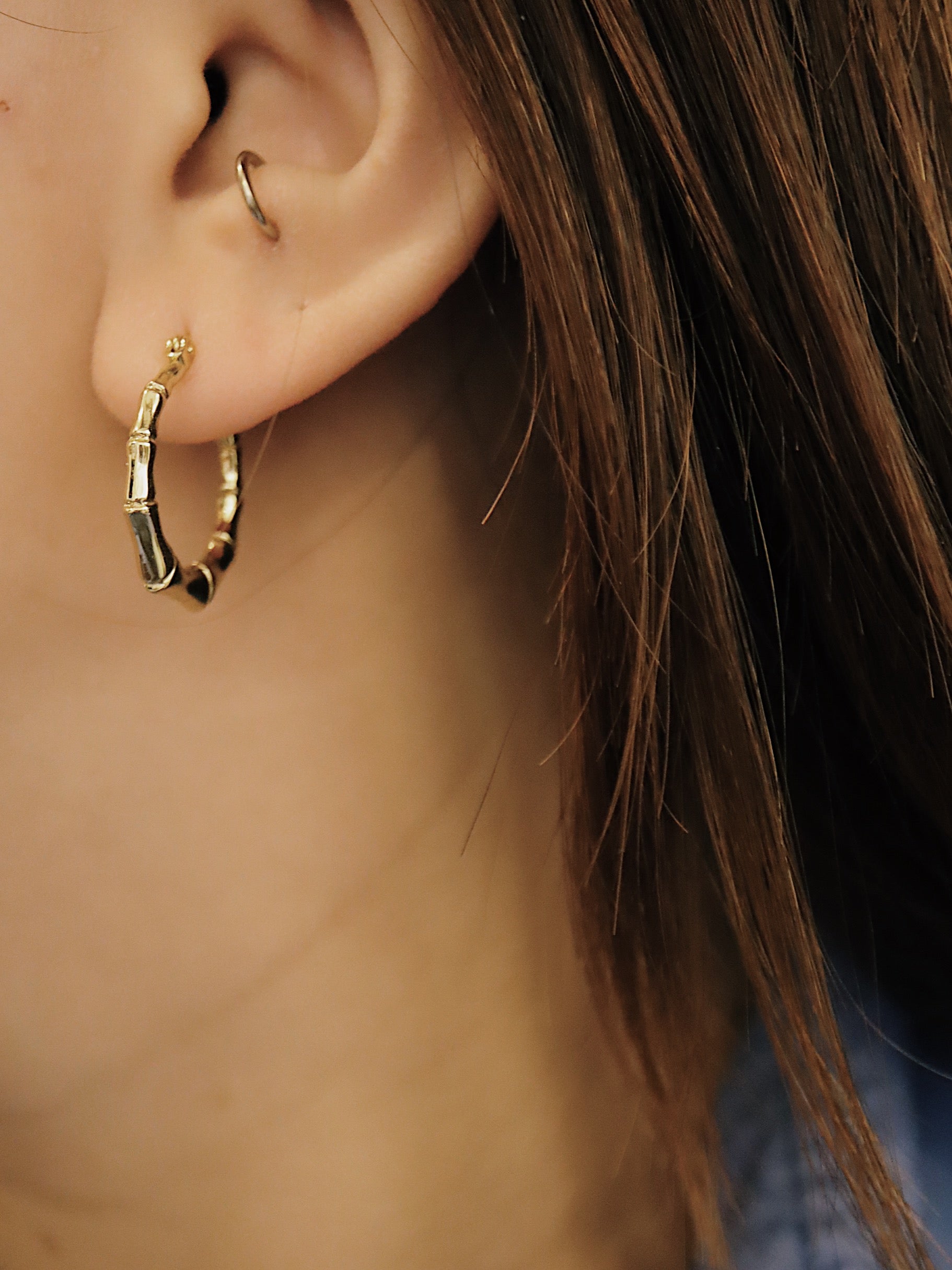 Bamboo stainless steel earrings