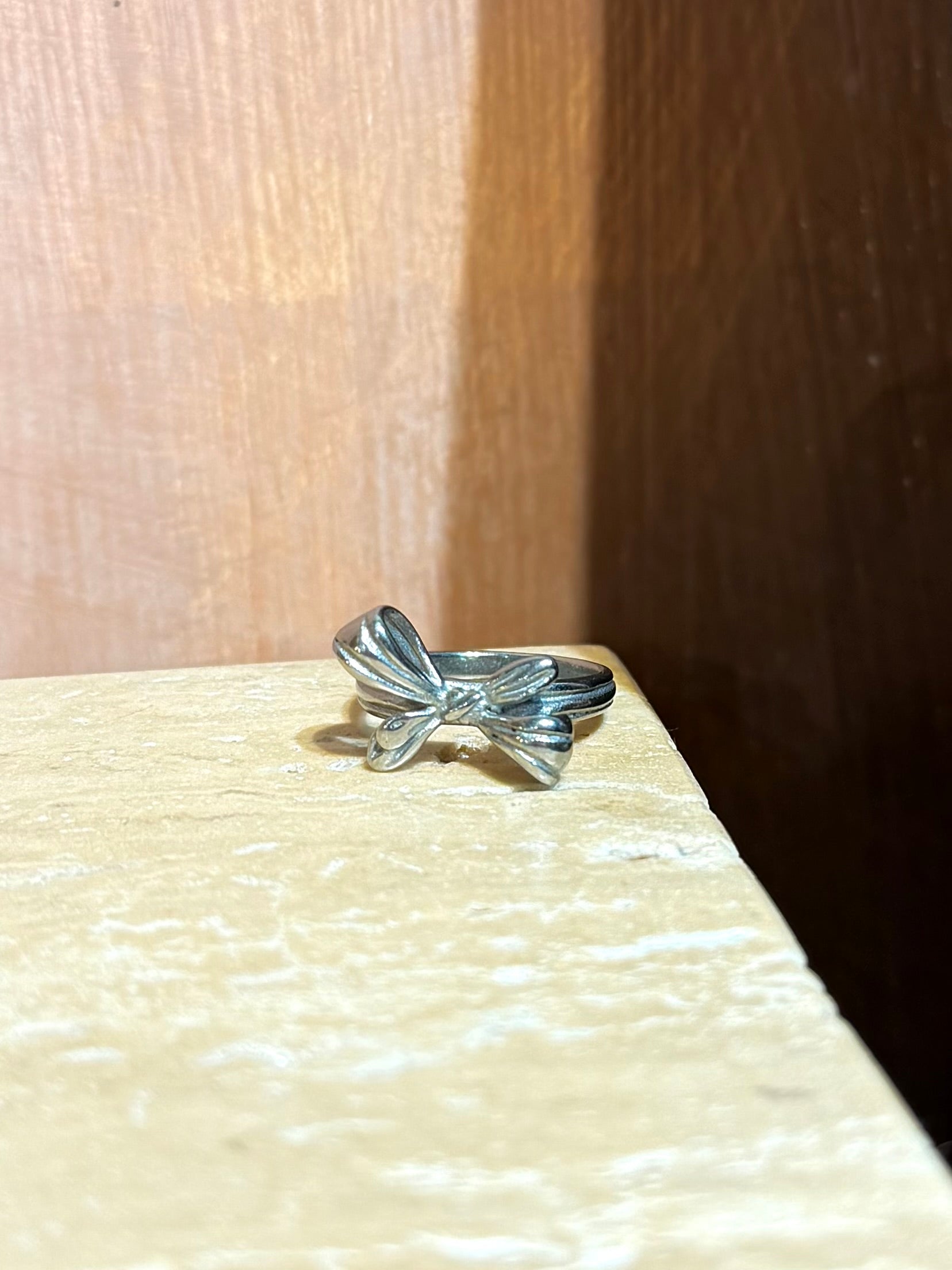 Ribbon stainless steel ring