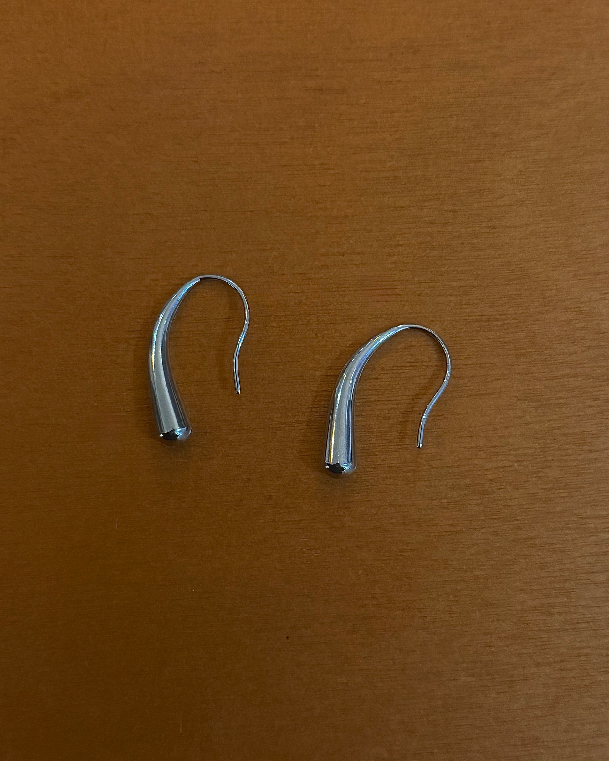 Stainless steel wire hook earrings