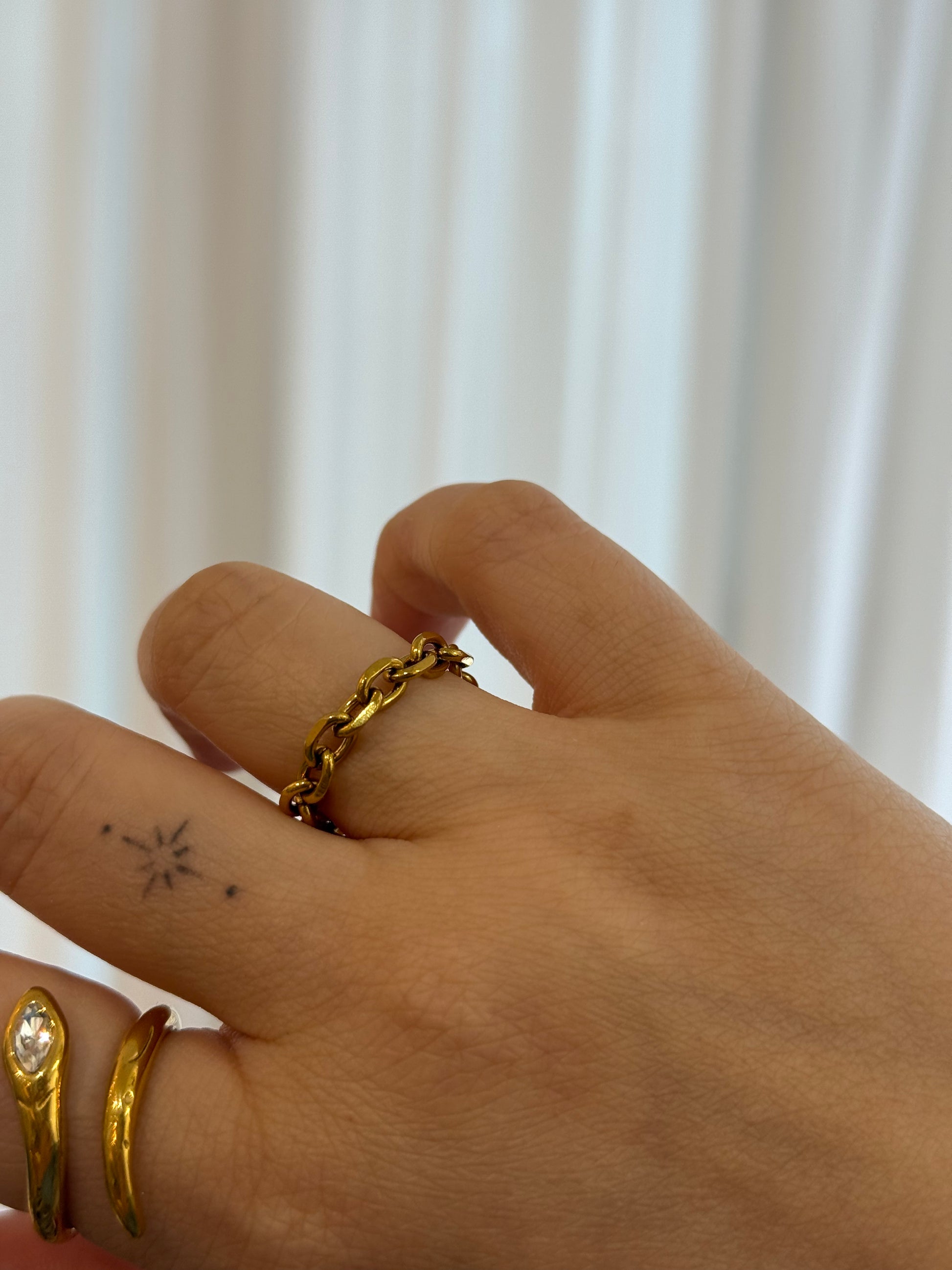 Chain link stainless steel ring
