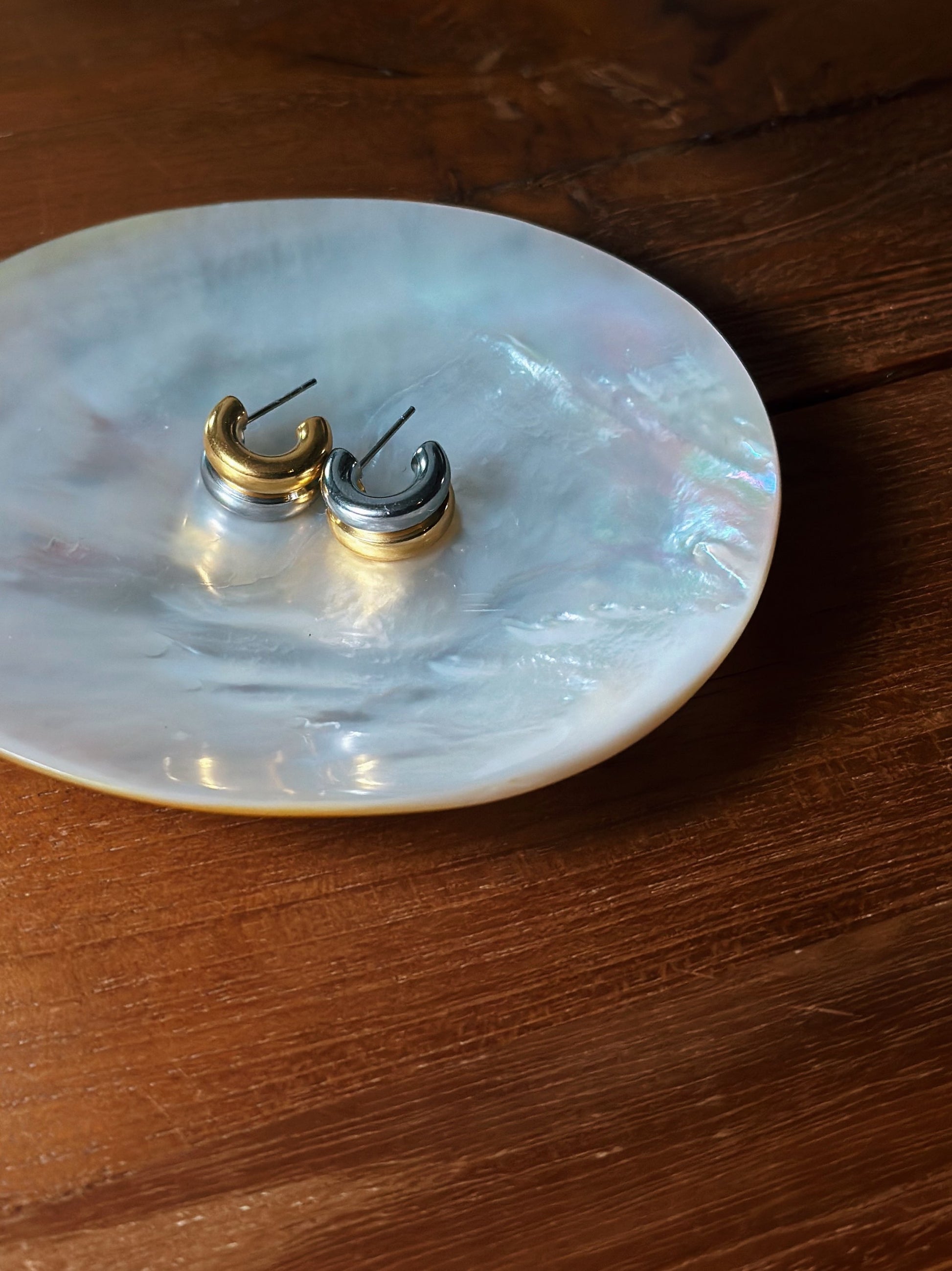 Mix tone stainless steel earrings