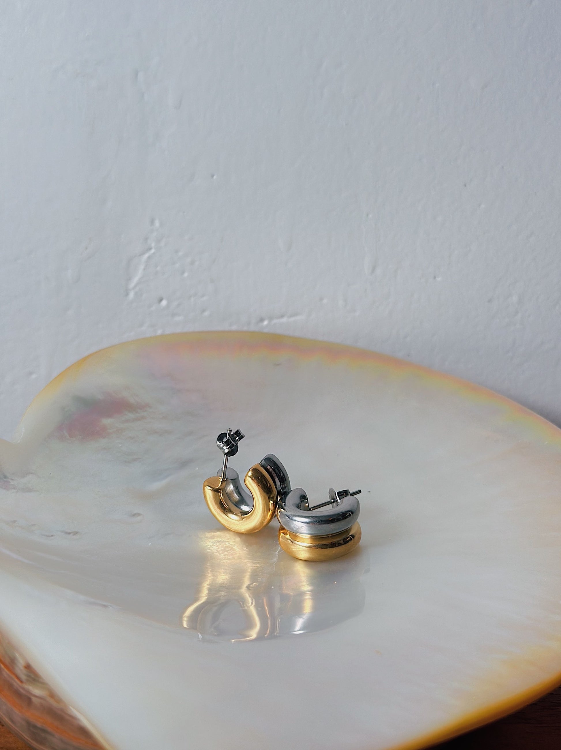 Mix tone stainless steel earrings