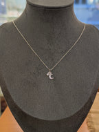 Crescent and star necklace