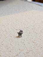 Star rose stud surgical steel piercing Earring (1pc)