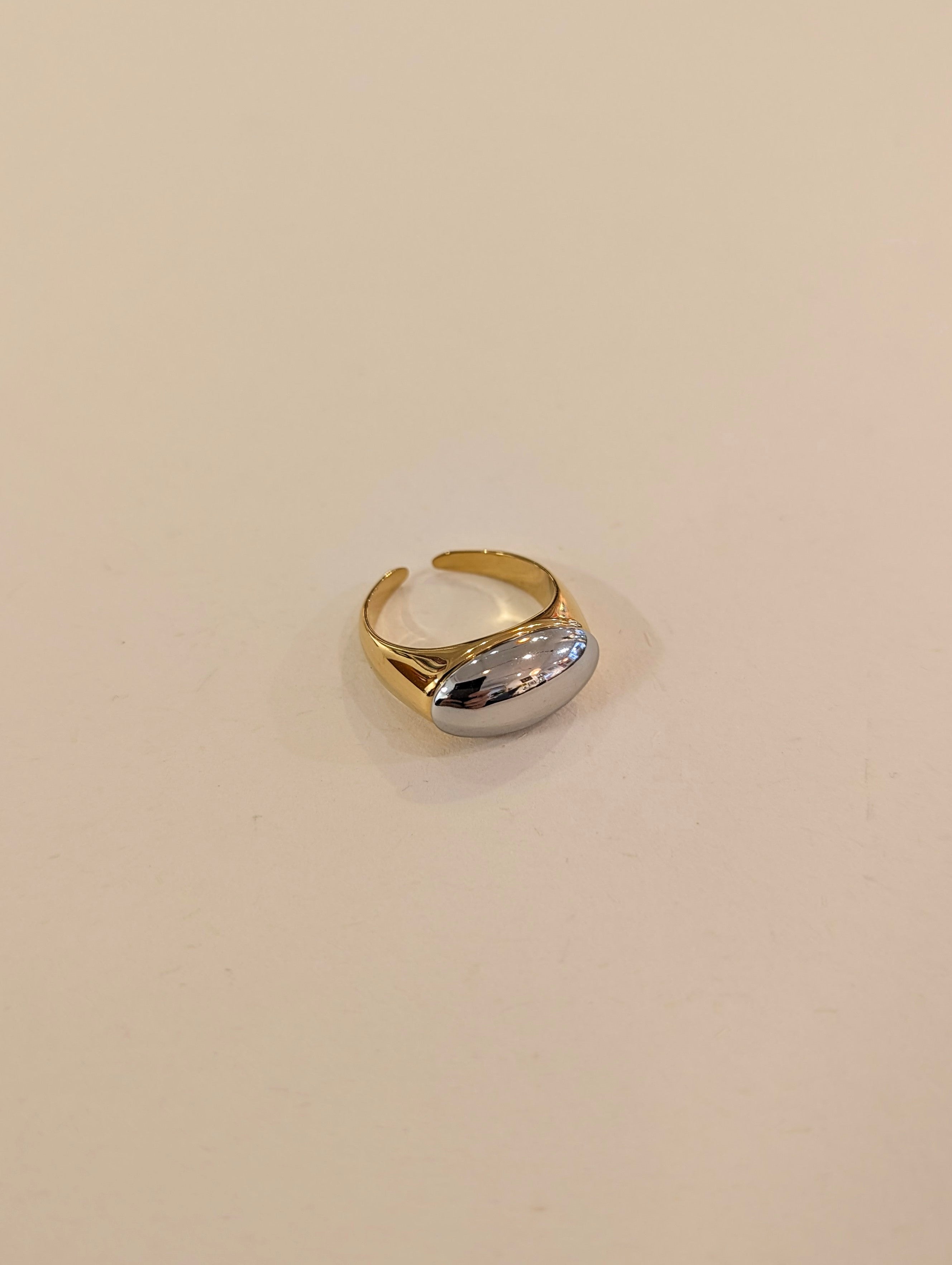 Duo Tone Signet Band Stainless Steel Ring