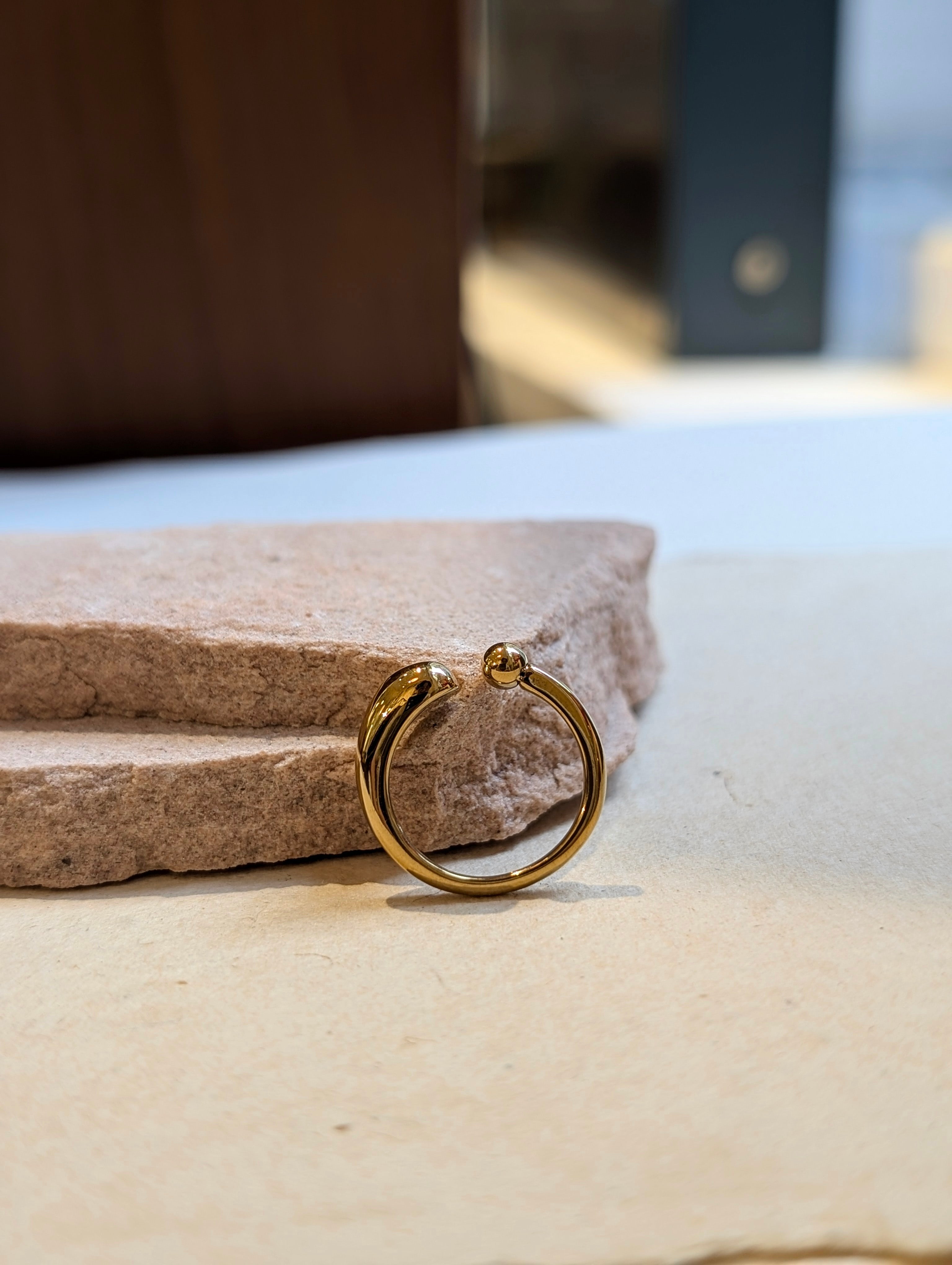 Dualis Stainless Steel Ring