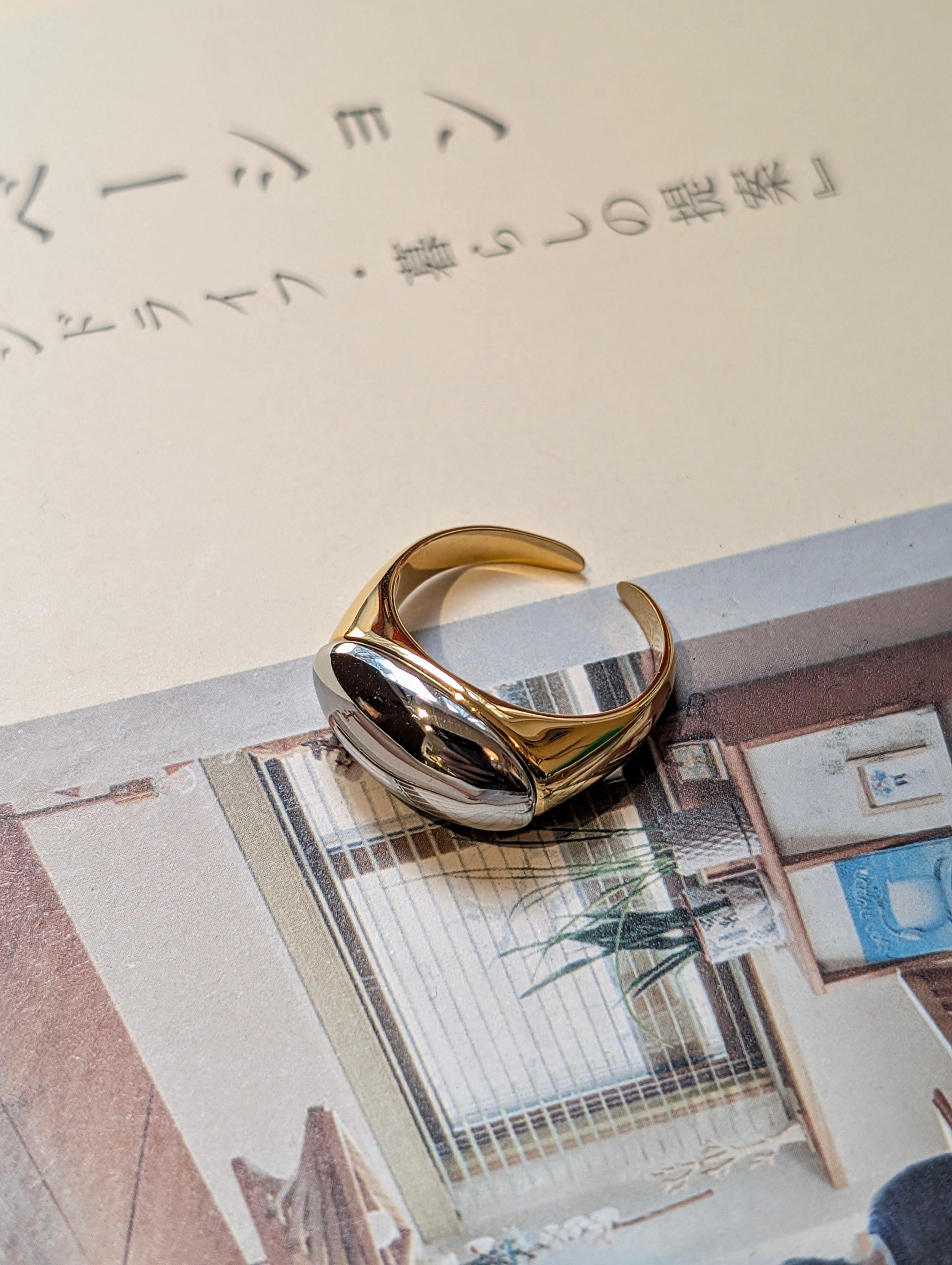 Duo Tone Signet Band Stainless Steel Ring