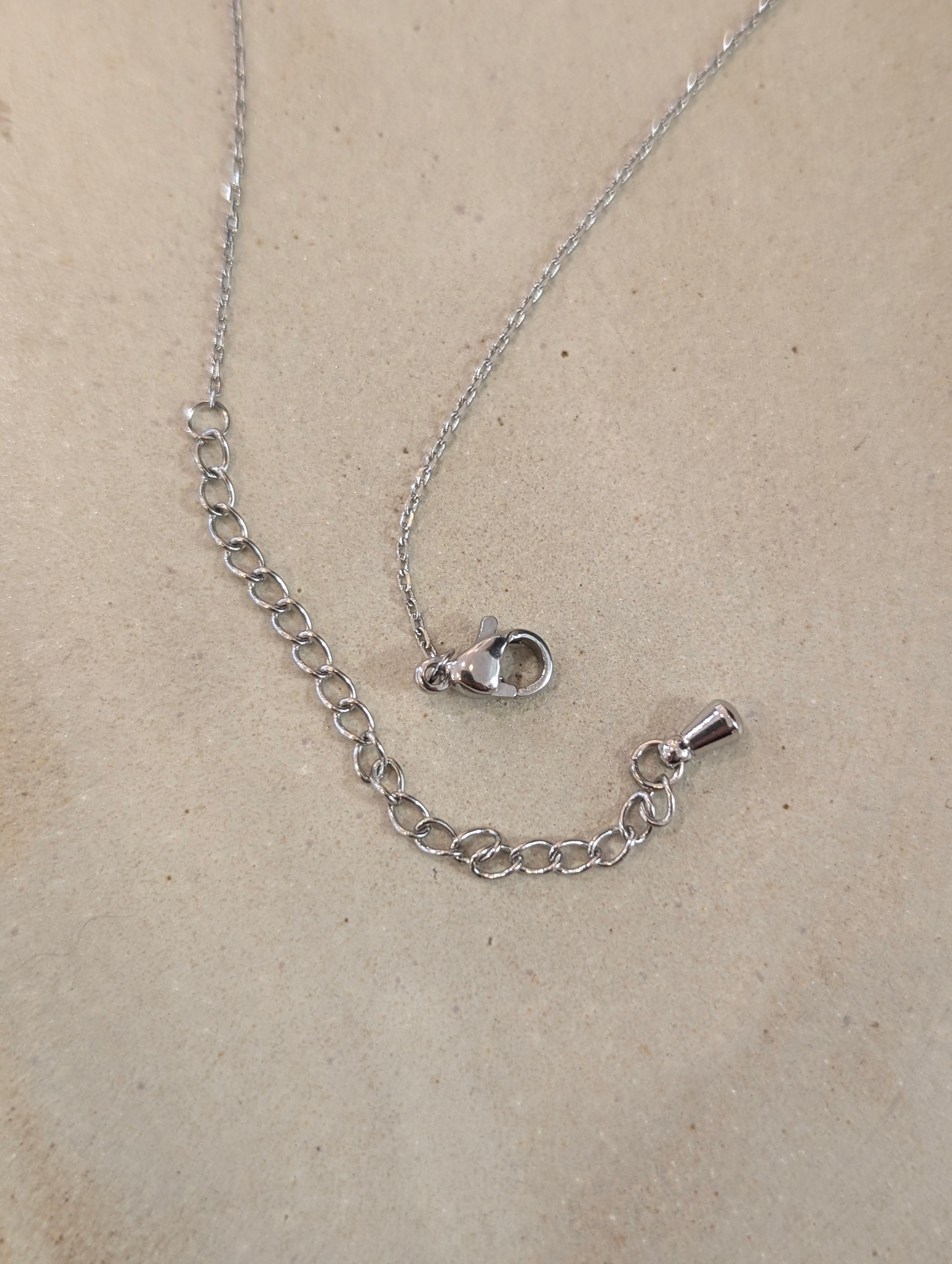 Stainless Steel Sun in Crescent Coin Necklace