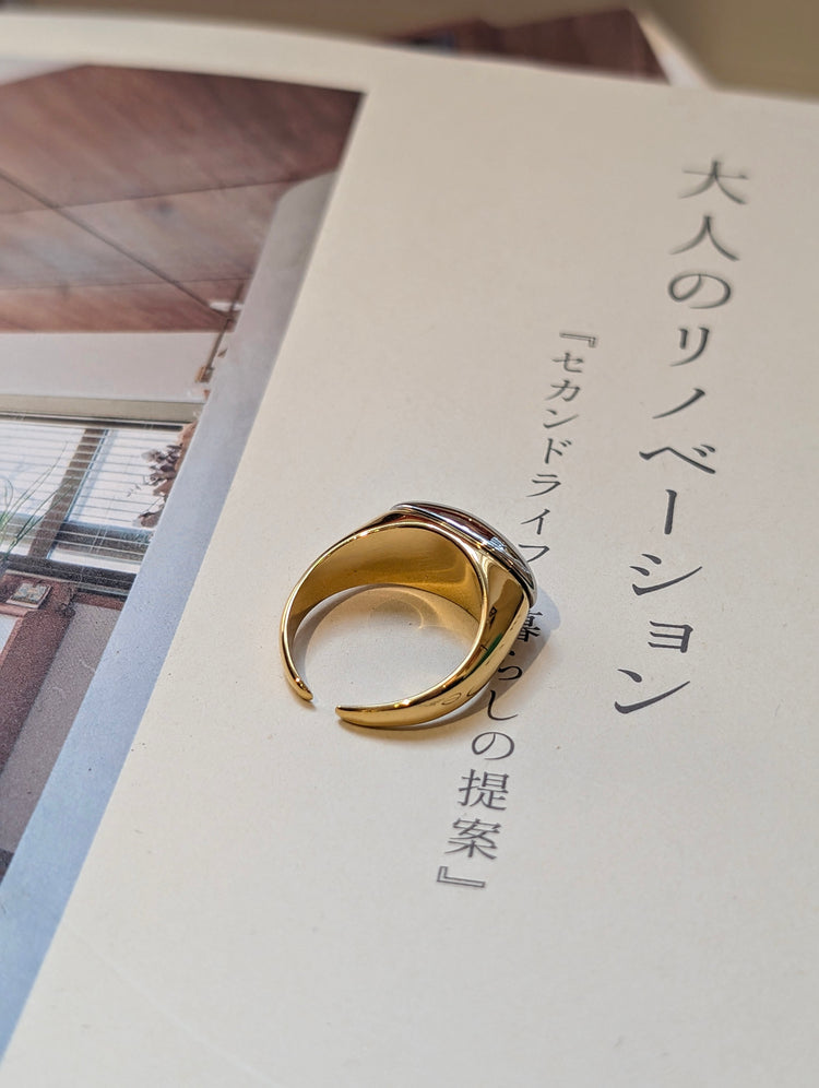 Duo Tone Signet Band Stainless Steel Ring
