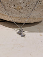 Crescent and star necklace