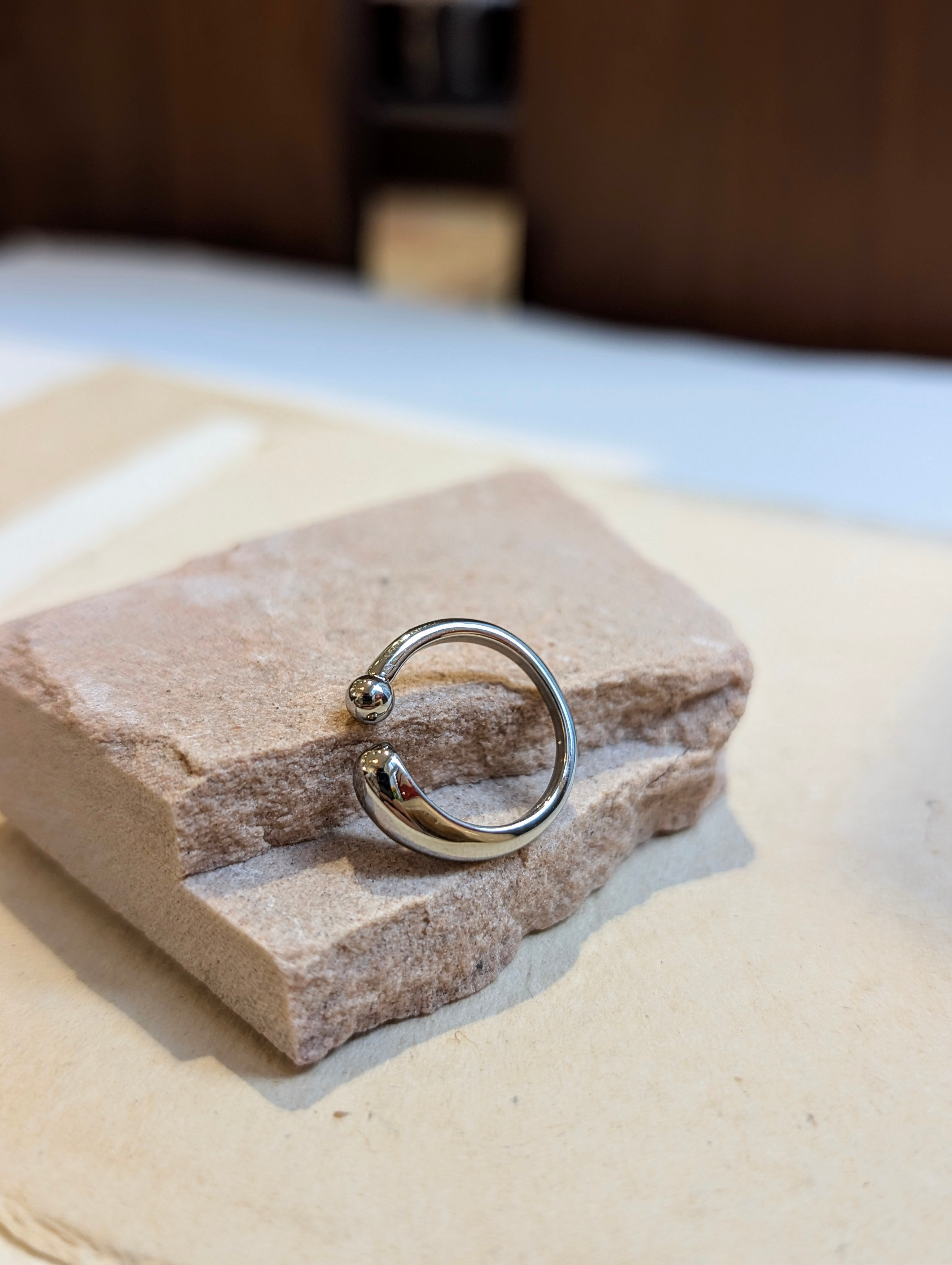 Dualis Stainless Steel Ring