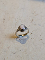 Oval Shell 925 Silver Ring