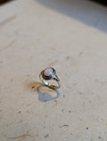Oval Shell 925 Silver Ring